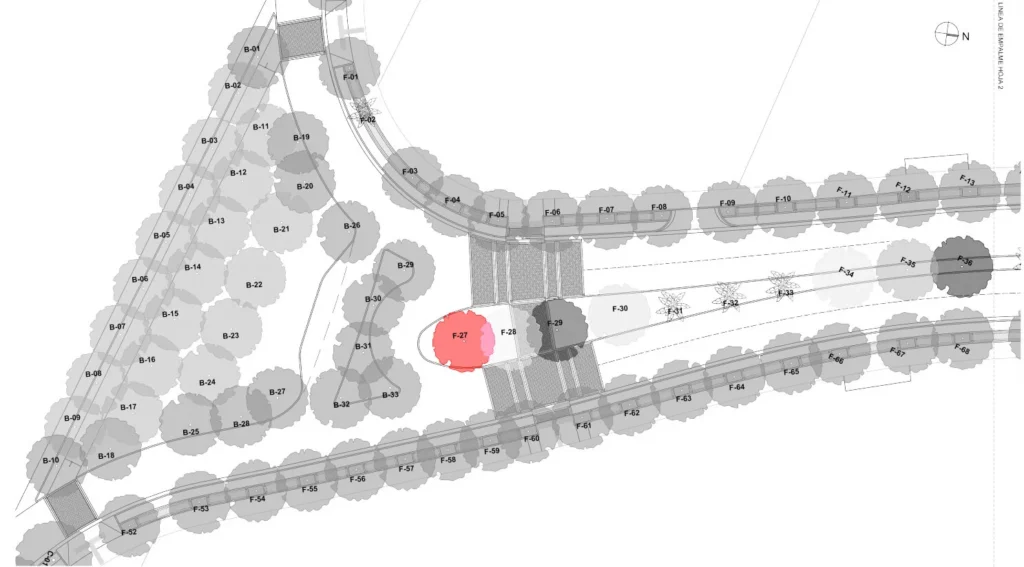 Ubicacion primer arbol