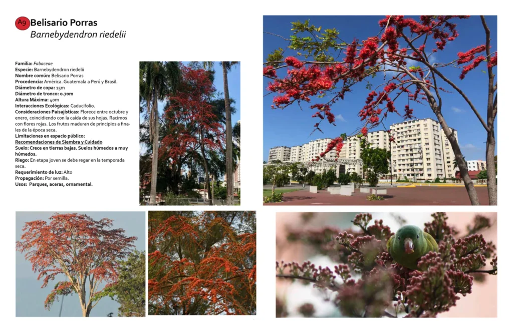 Paisajismo Porta Norte